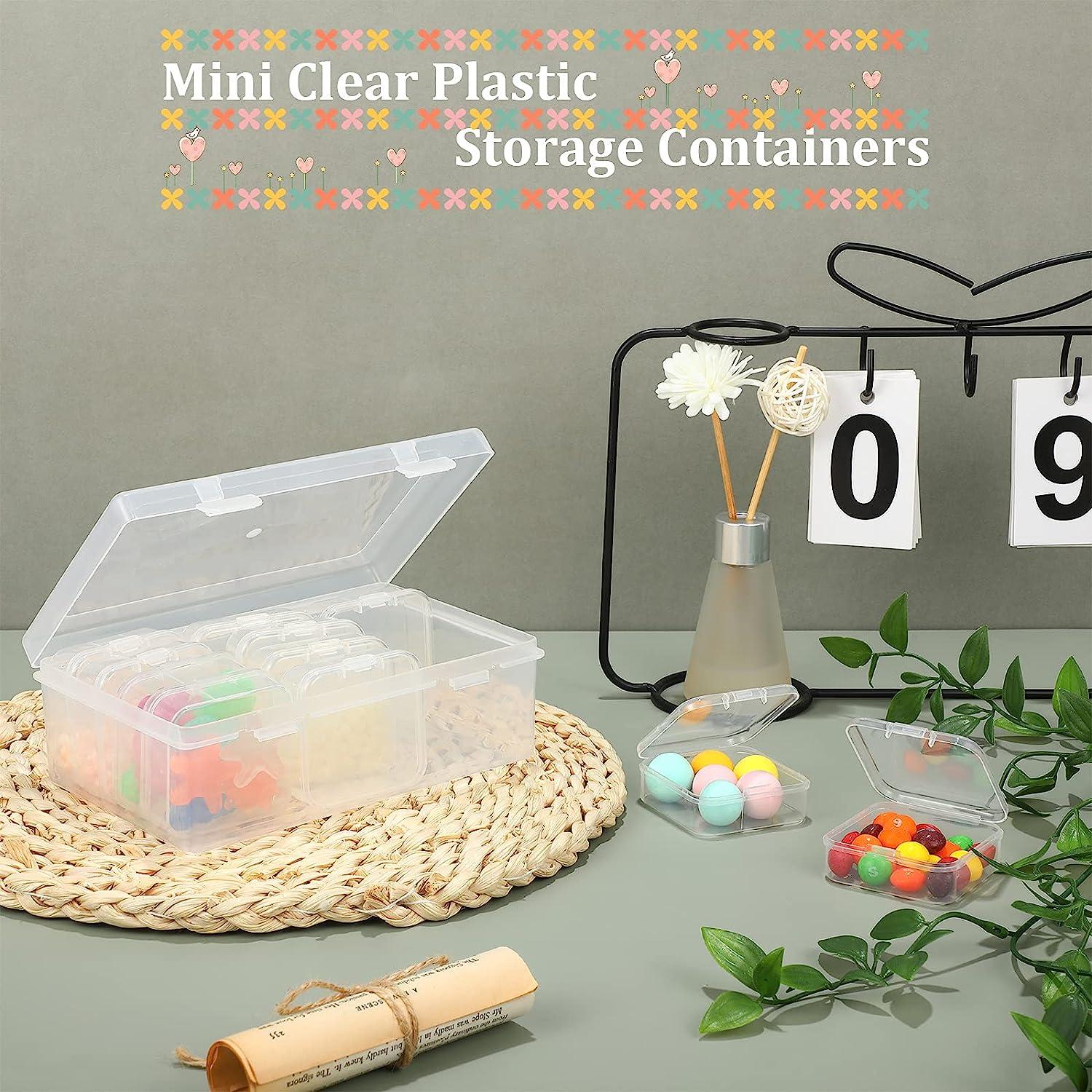 Jewelry And Craft Organizer Clear Mini Plastic Bead Storage