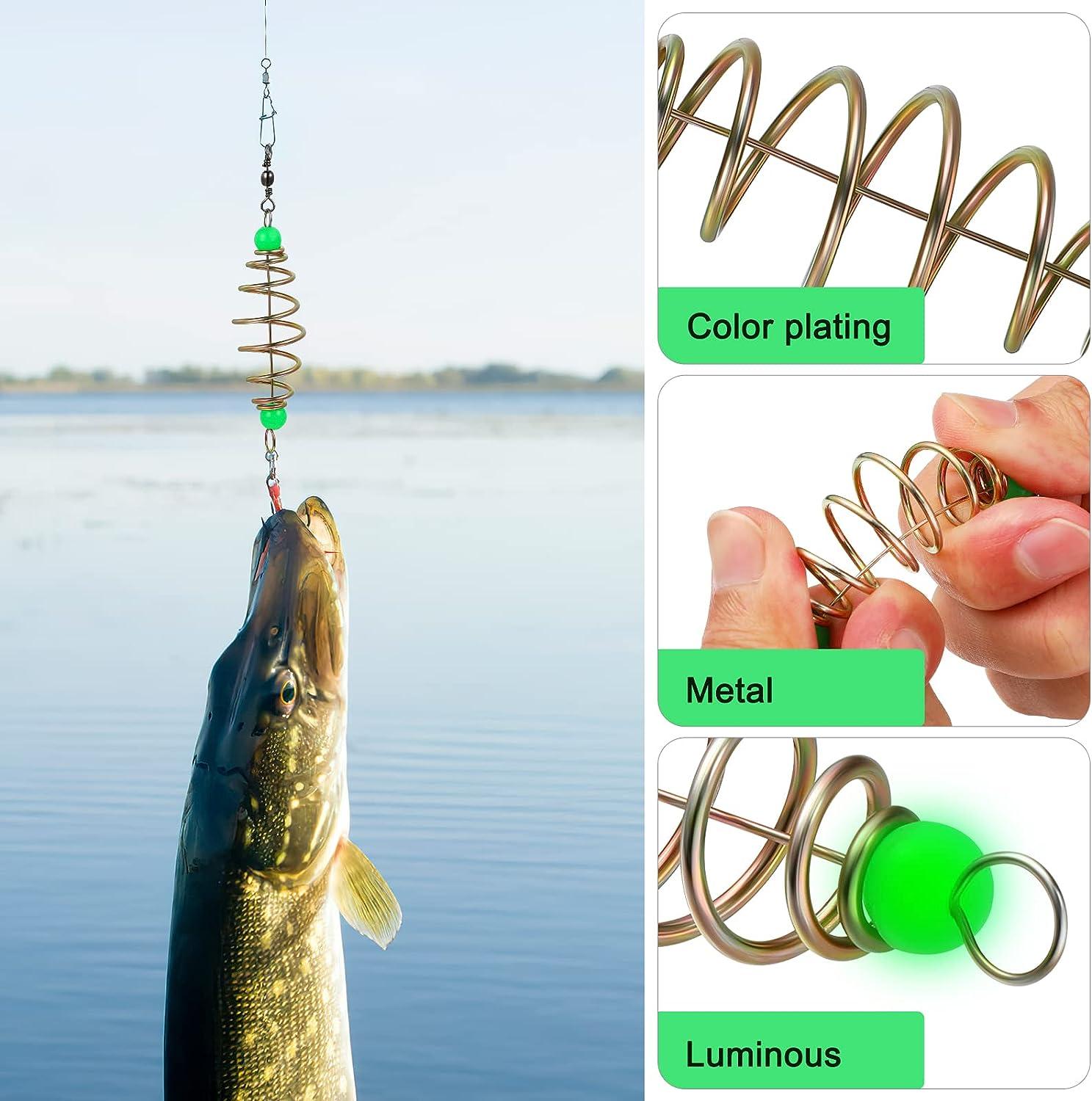  BESPORTBLE 12pcs Spring Fishing Feeder Luminous Fishing Cage  Feeder Carp Сrucian Bream Fishing Tackle Fishing Accessories : Sports &  Outdoors