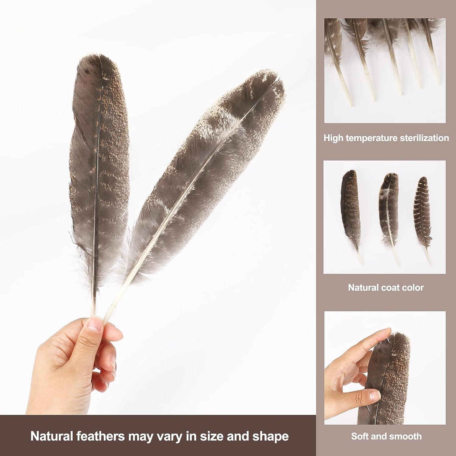 Natural Turkey Feather for Instrument Bore Oil Application