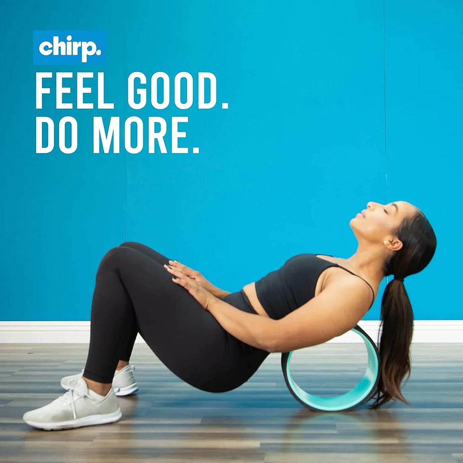 CHIRP Stretch Mat Back Stretcher