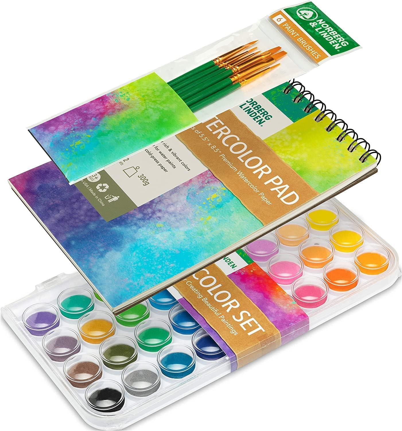 Norberg & Linden Acrylic Paint Set - Canvas and Acrylic Paint Sets for  Adults, Teens, Kids - Arts Crafts Painting Kit with Supplies - Includes 12
