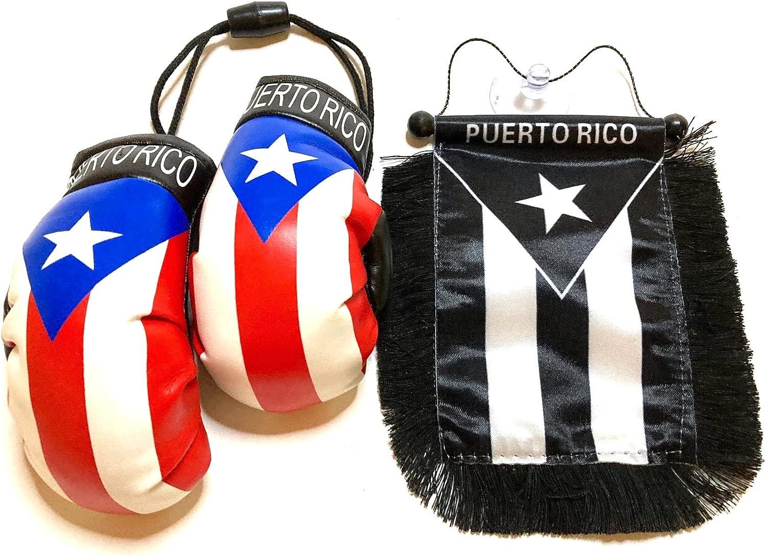 Puerto Rico Window Hanging Flag 