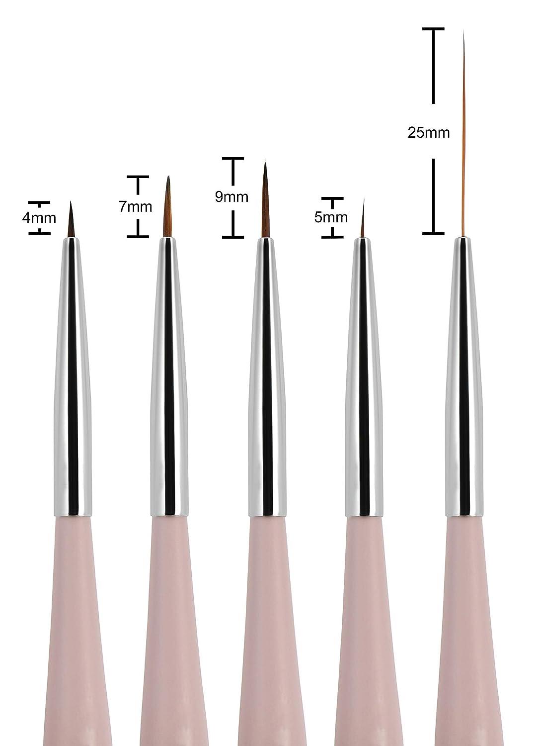 Beaute Galleria 5 Pieces Nail Art Brush Set with Liners (4mm 7mm 9mm)  Striping Brushes (5mm 25mm) for Thin Fine Line Drawing Detail Painting  Striping Blending One Stroke
