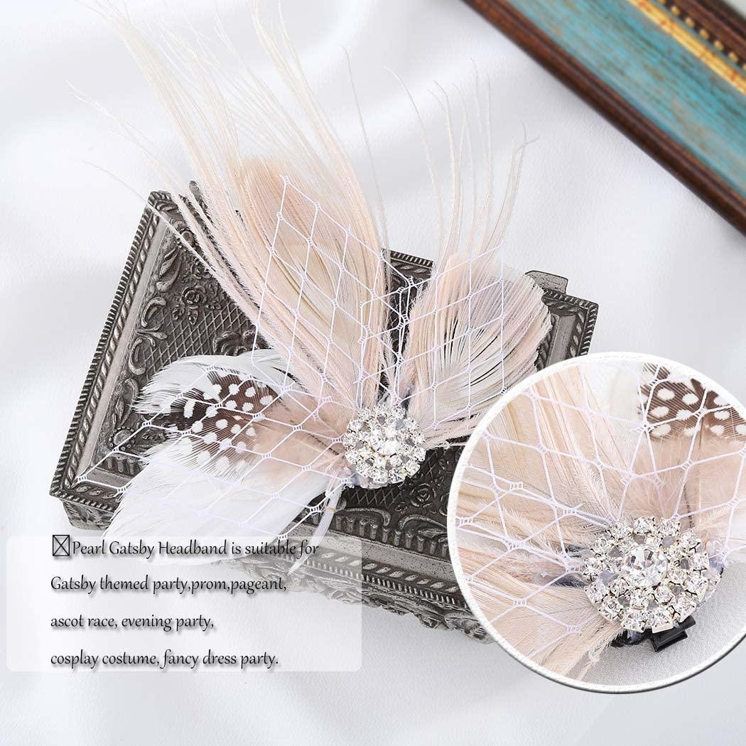 Fashey Flapper Headpiece 1920 Headband Gatsby Headpiece Peacock Feather  Headpiece Pink Feather Hair Clips 20s Gatsby Head Band Peacock Feather Hair  Pin Butterfly Rhinestone Feather Headpiece Hair Accessories for Women an