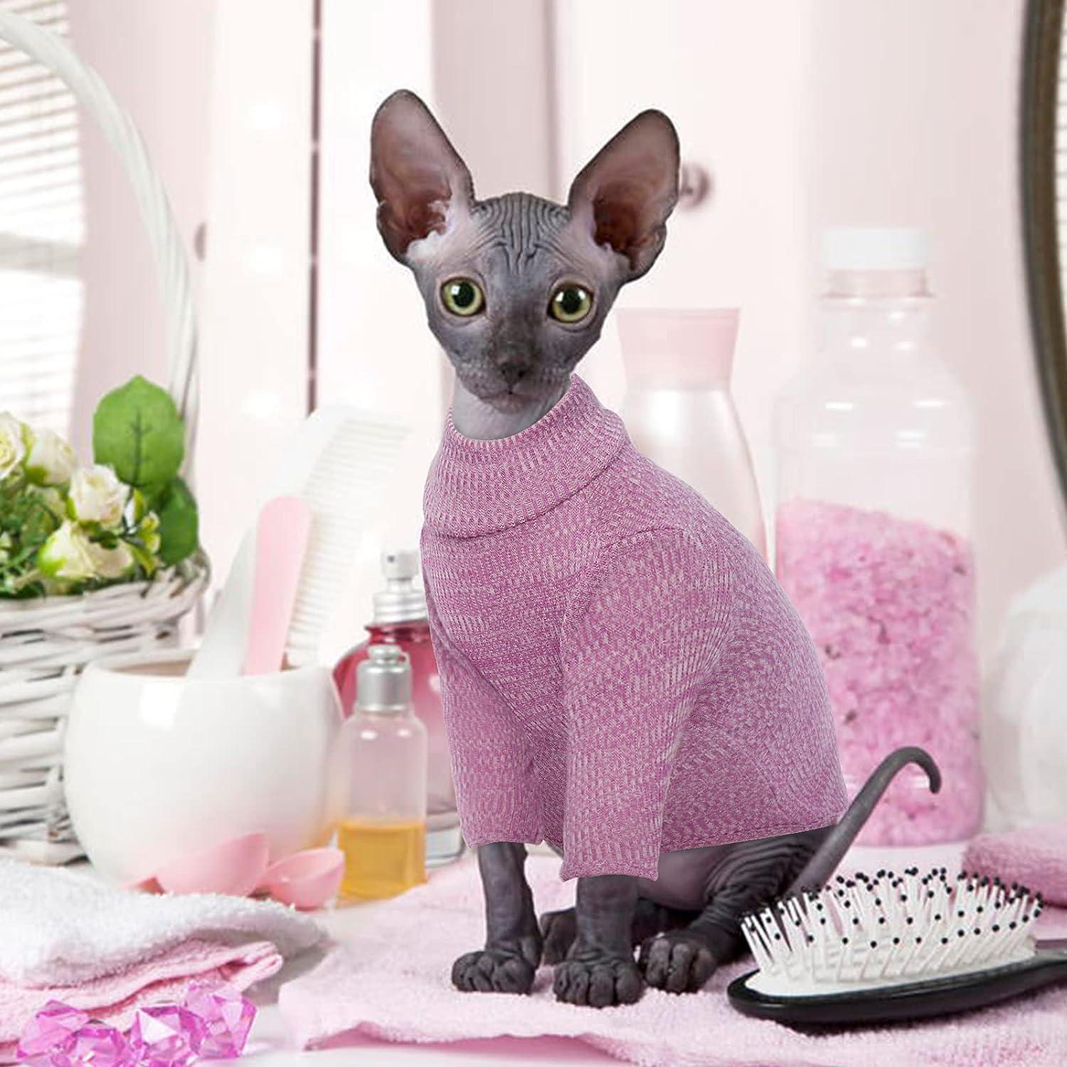 hairless cats in clothes