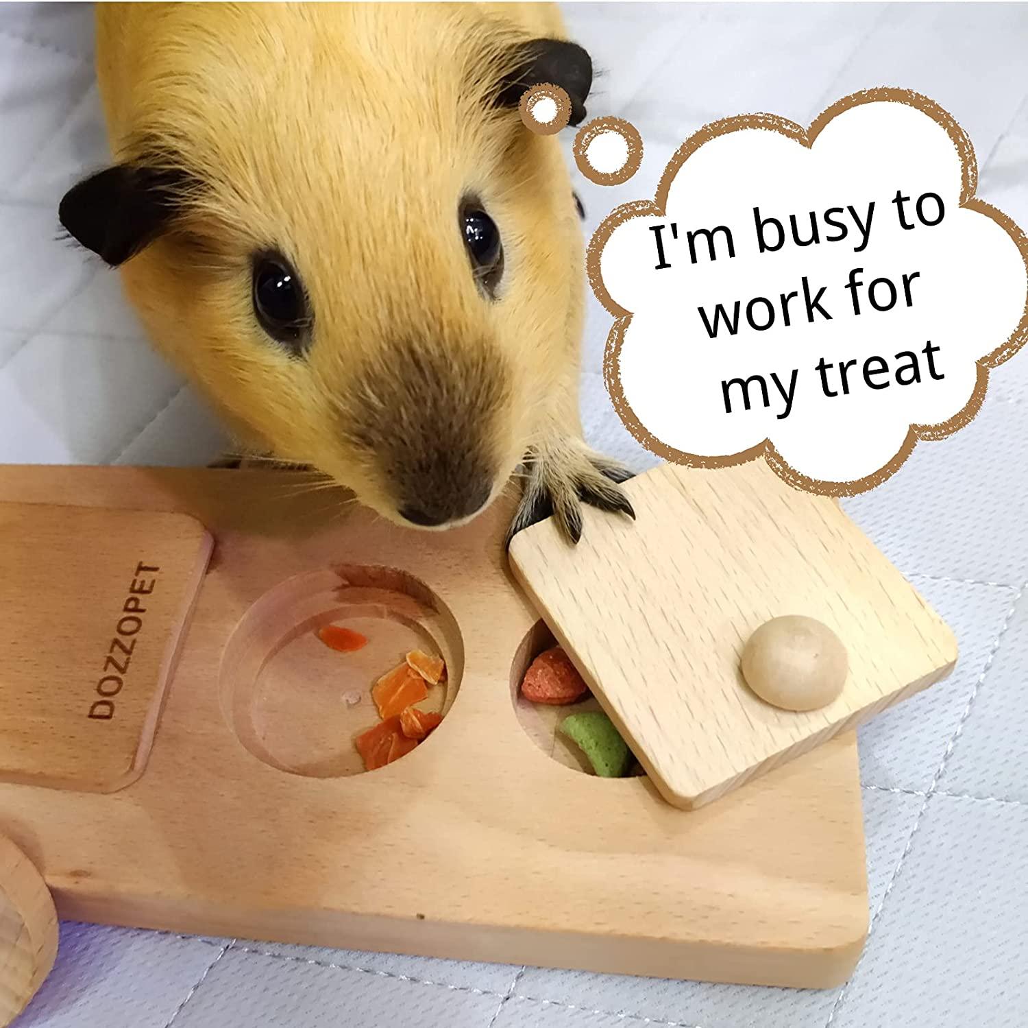 MUYG 2 PCS Small Animals Wooden Enrichment Foraging Toy, 6 in 1 Guinea Pig  Interactive Treat Dispenser Funny Toys Hide Treats Puzzle Snuffle Game for
