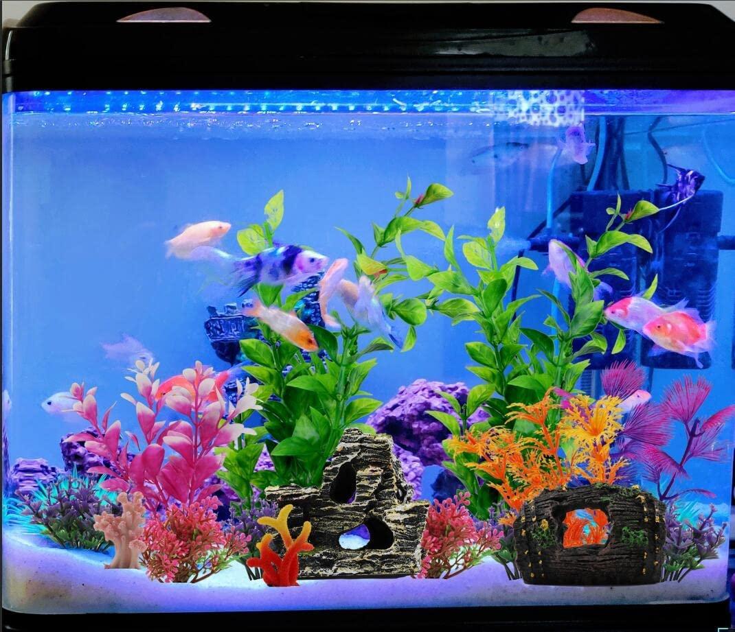 Aquarium Accessories: Decorative aquarium accessories to beautify your fish  tank