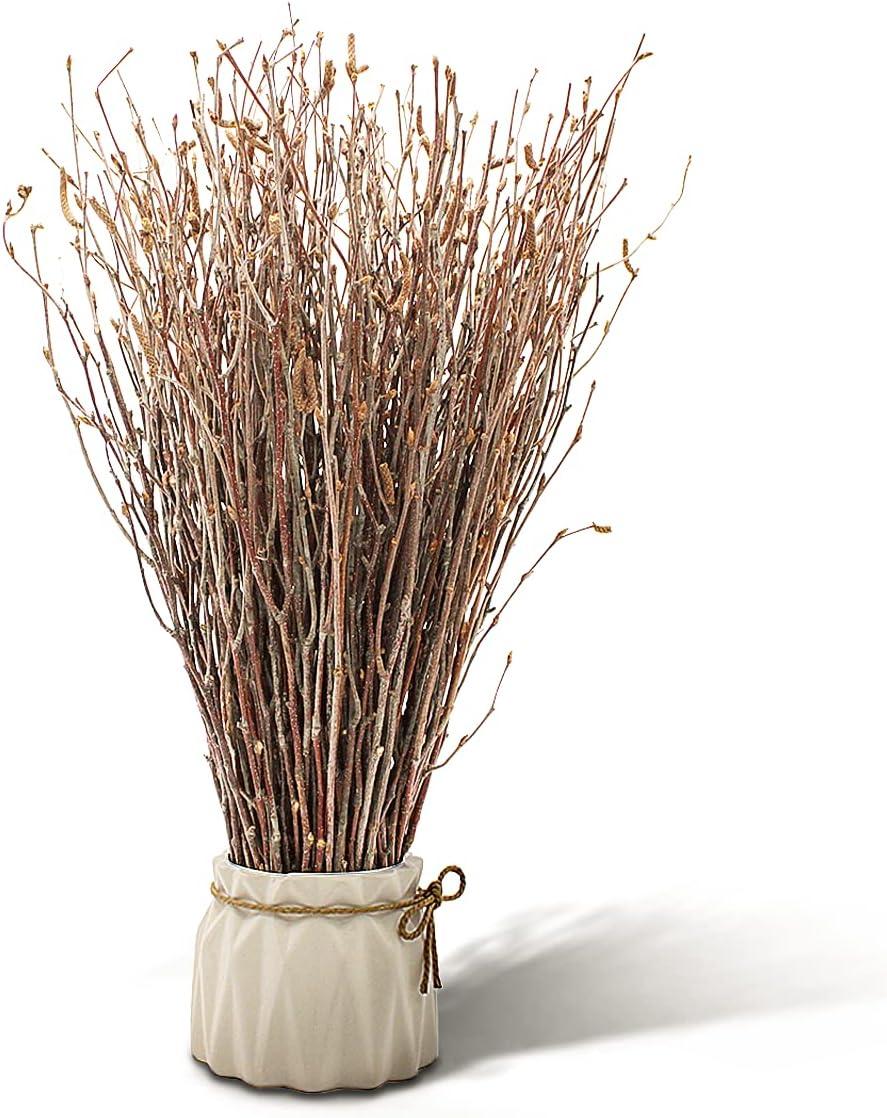 tall birch branches for vases, decorative branches for vases, tree branches  decoration ideas, birch branch decor, decorative birch branches (1 bundle