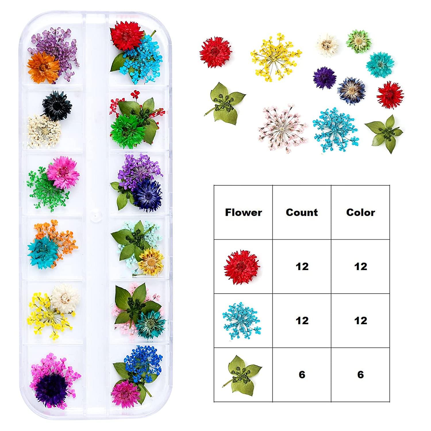 iFancer 108 Pcs Dried Flowers for Resin Nail Art 62 Colors 3D Dry Flowers  for Nails