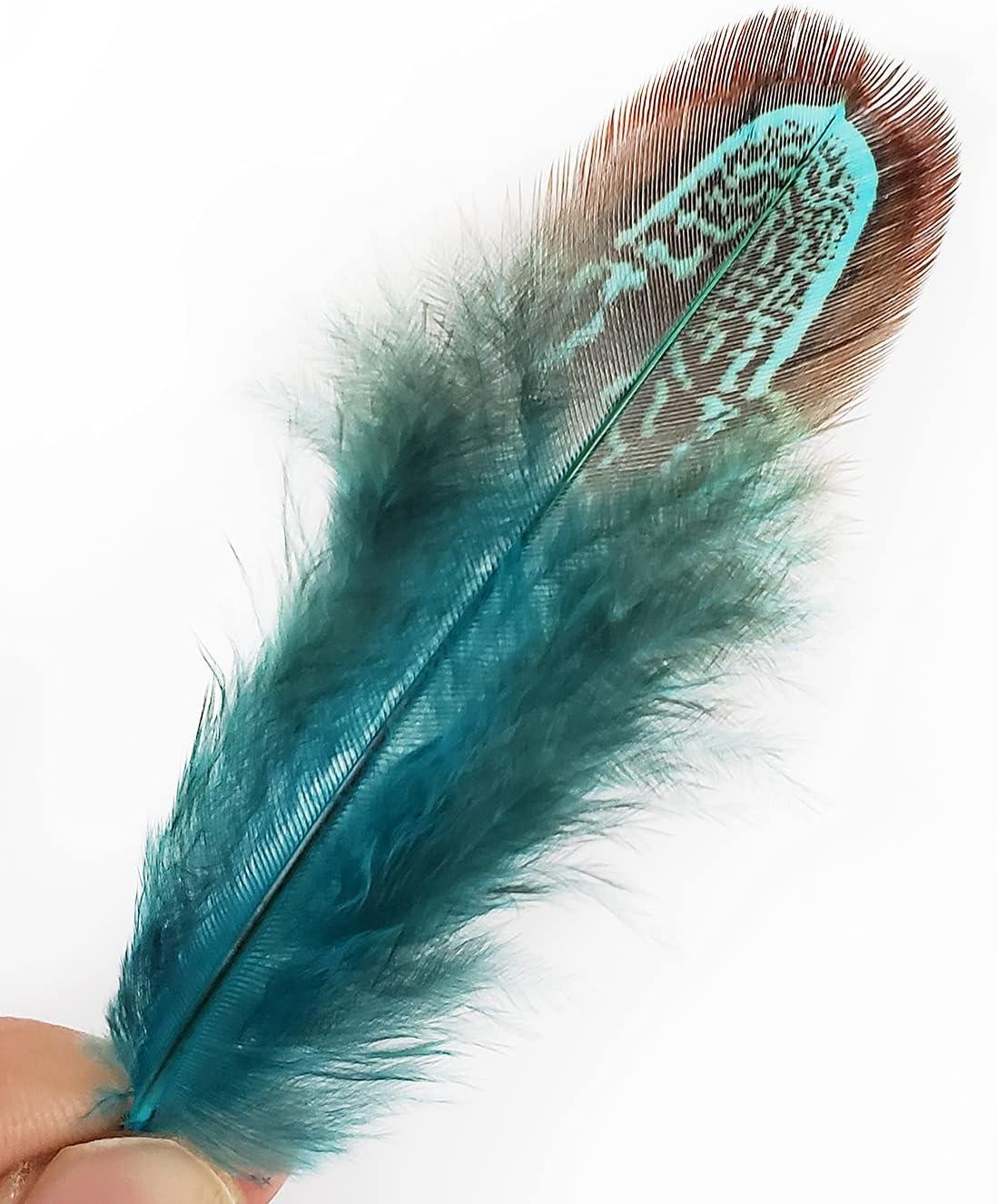 50 pcs Natural Pheasant Plumage Feathers 2-3 Inches Plumage