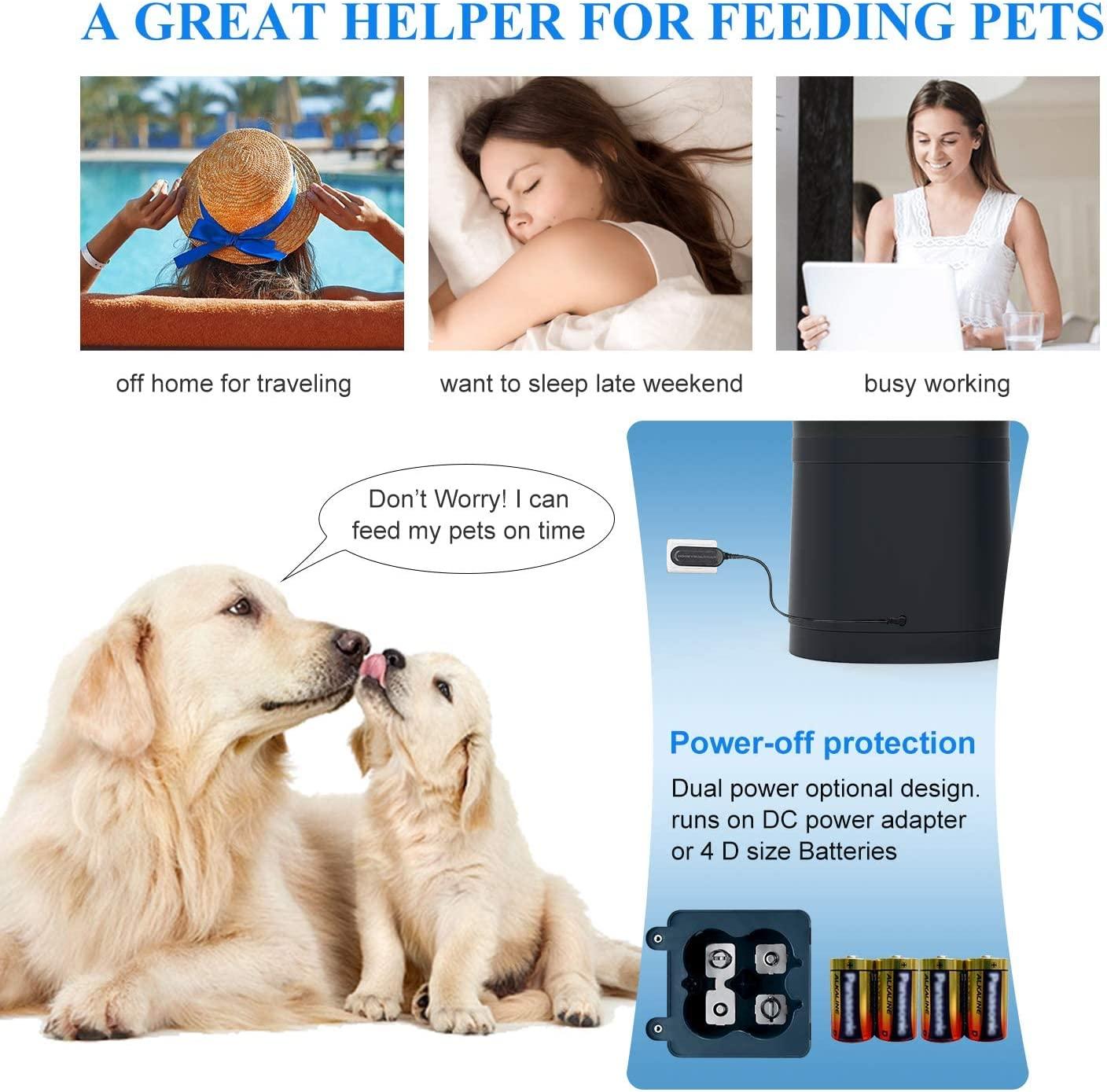 Automatic Cat Feeder for 2 Cats, HoneyGuaridan 6.5L/4.5L Pet Feeder for  Cat&Dogs Dry Food Dispenser with Desiccant Bag, Stainless Steel Bowl 6  Meals 6.5L Blue