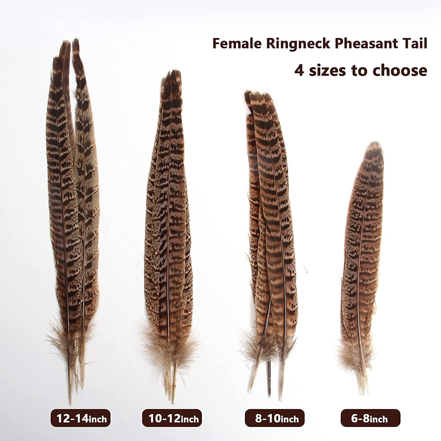 How to Curl a Pheasant Feather