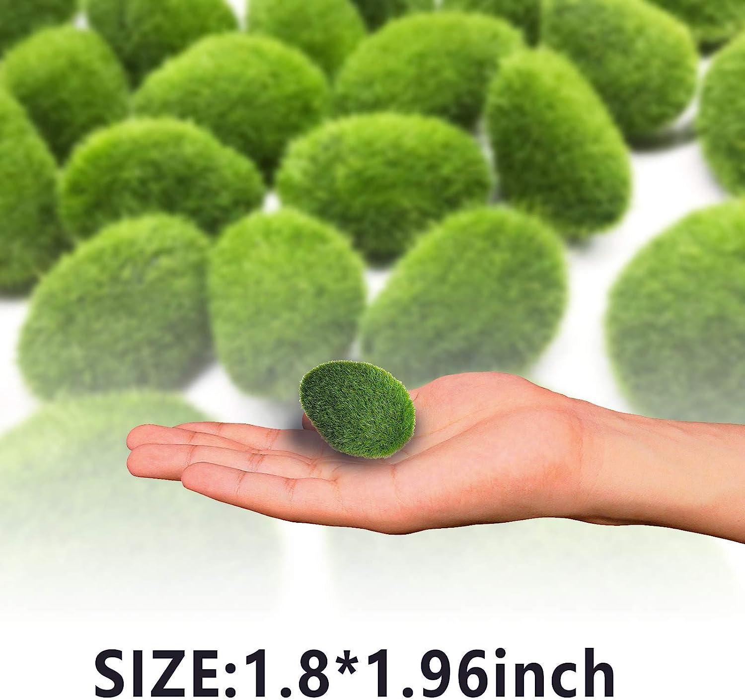 20/50g Artificial Moss Fake Plants Faux Green Moss for Micro