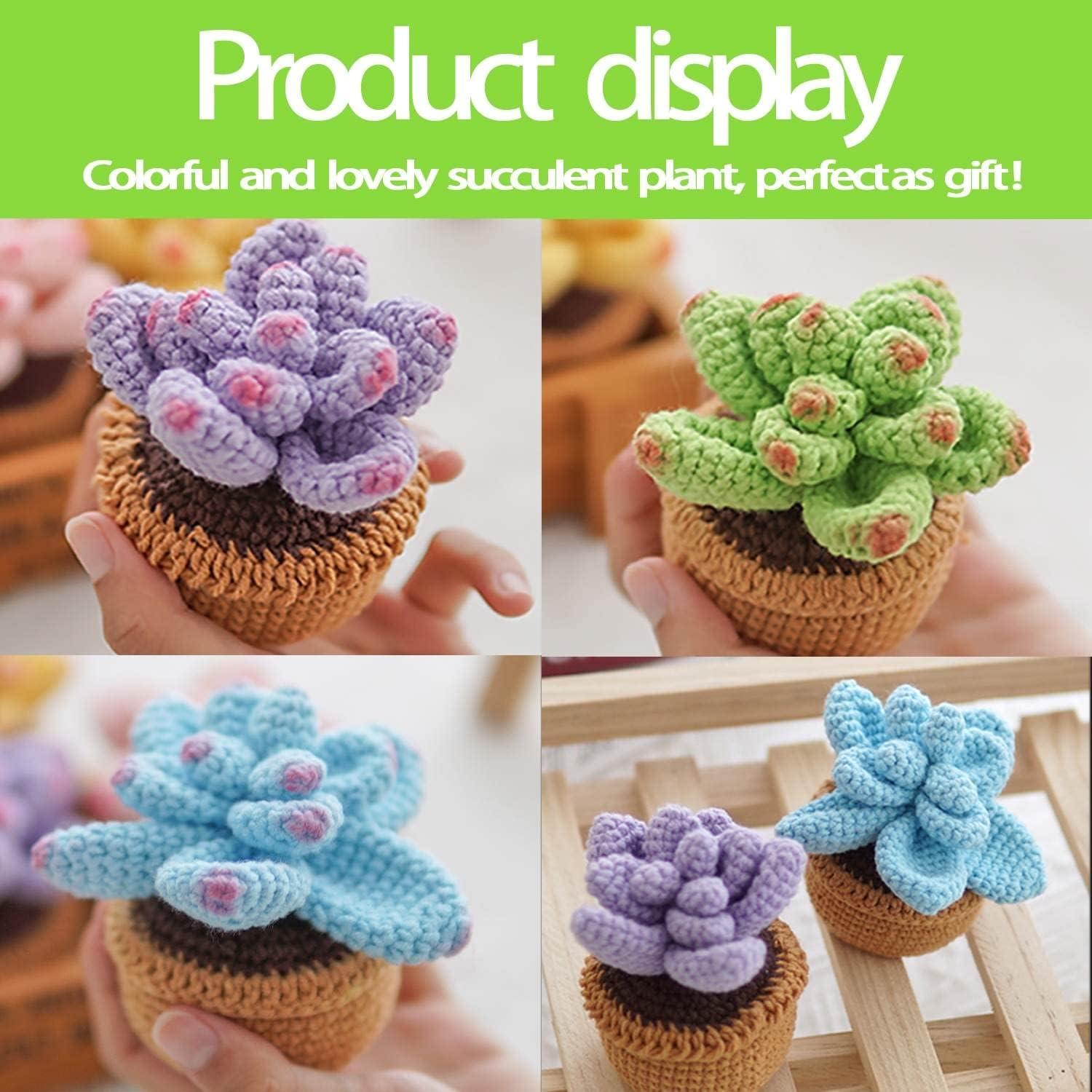 6 Pcs Potted Flowers DIY Kit for Adults and Kids, Crochet Starter Knitting  Kit for Complete Beginners With Step-by-step Video Tutorials 