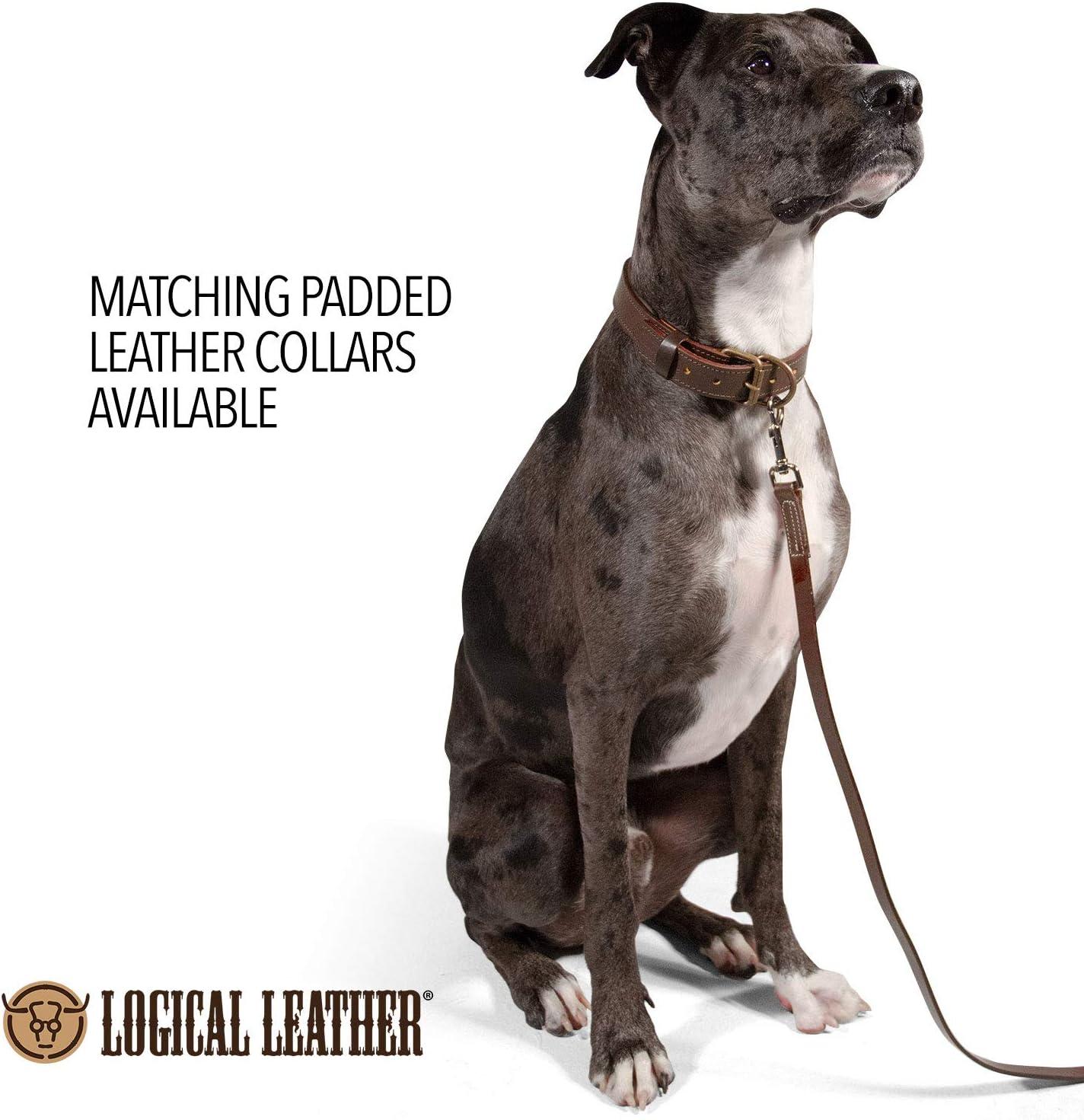 Leather Dog Training Leash - 4 Foot