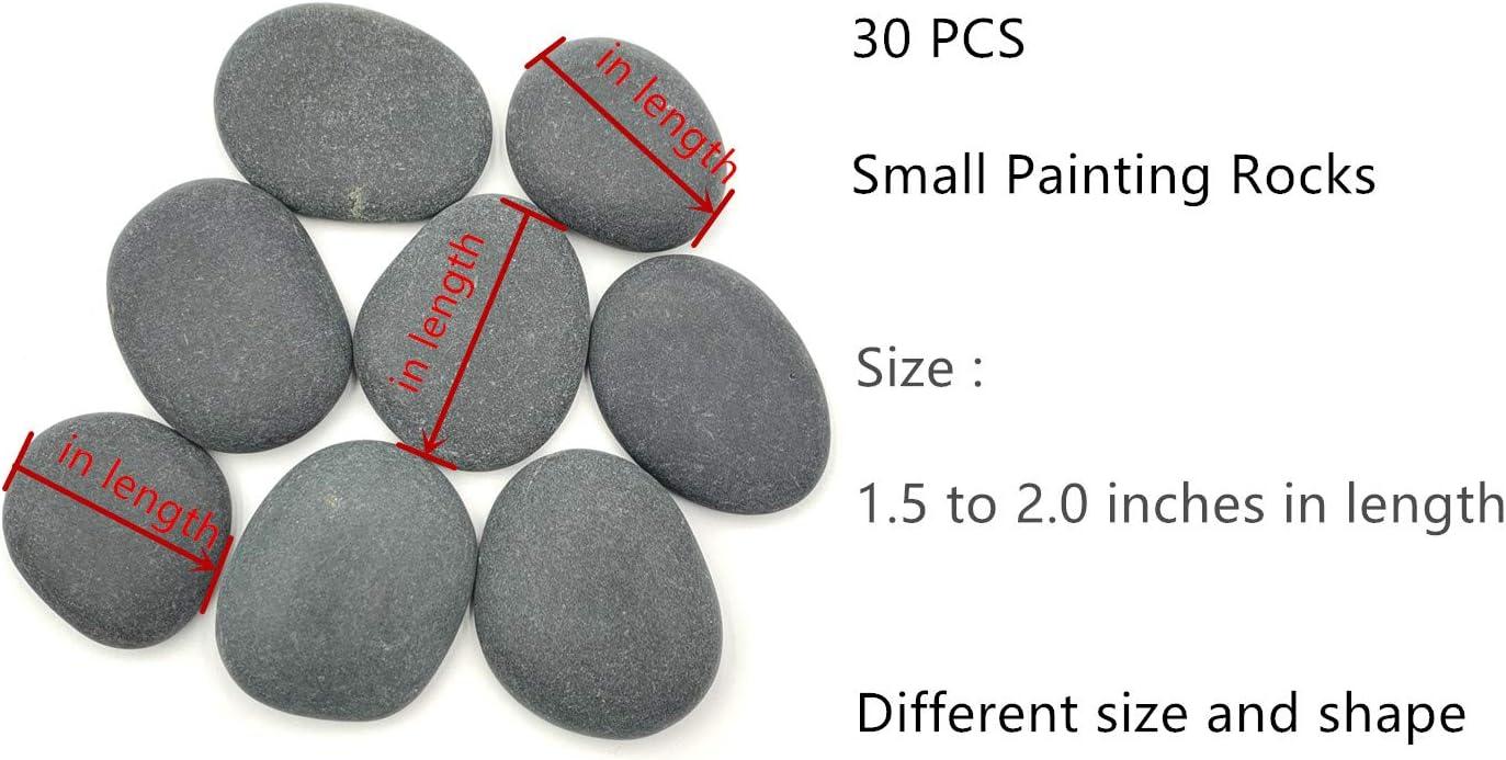 Lifetop 24PCS Painting Rocks 2-3 Inches DIY Rocks Flat & Smooth Kindness  Rocks for Arts Crafts Decoration Medium Rocks for Painting Hand Picked for Painting  Rocks
