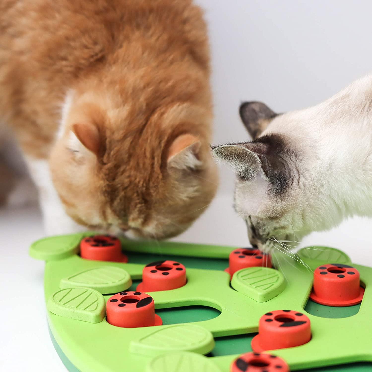 Catit Play treat puzzle - Treat Maze - Cat Toys