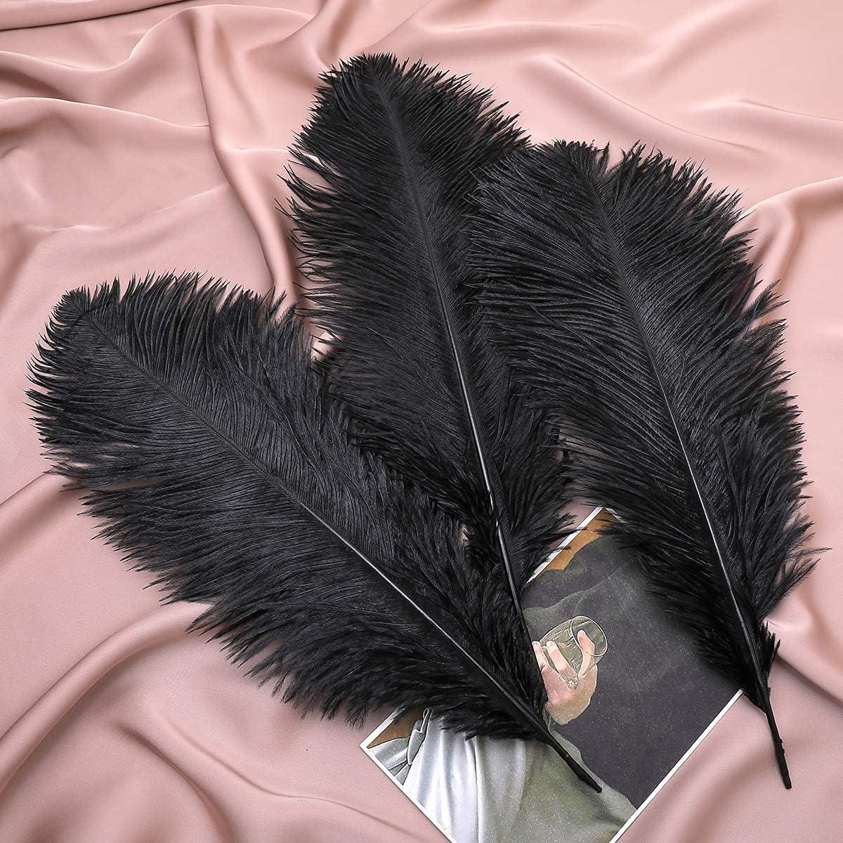 Doolland 10 Pcs Natural Black Ostrich Feathers 10-12 inch(25-30 cm) Bulk for DIY Wedding Party Centerpieces, Easter, Gatsby Decorations Feather