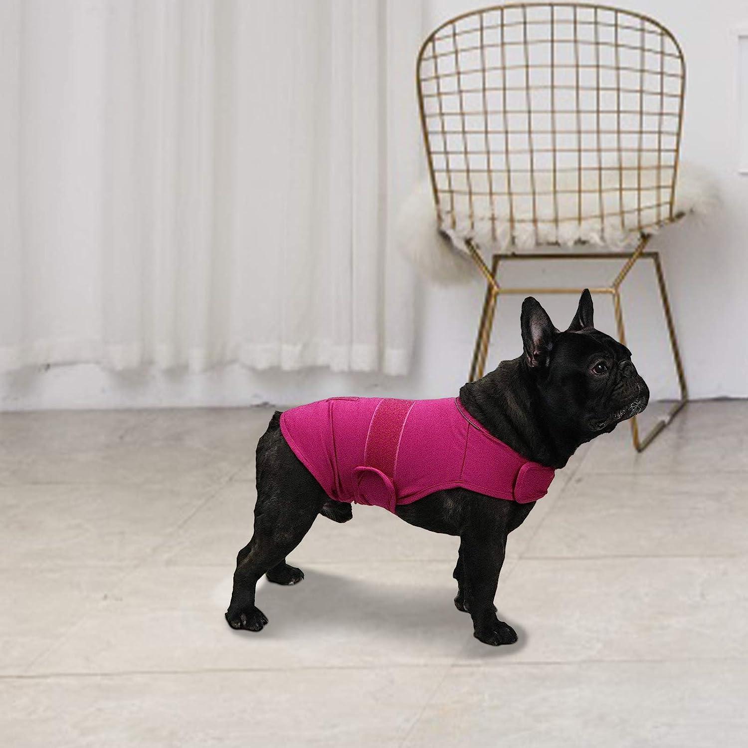 The Dog Face Puffer Jacket  Comforting Outerwear for Dachshund
