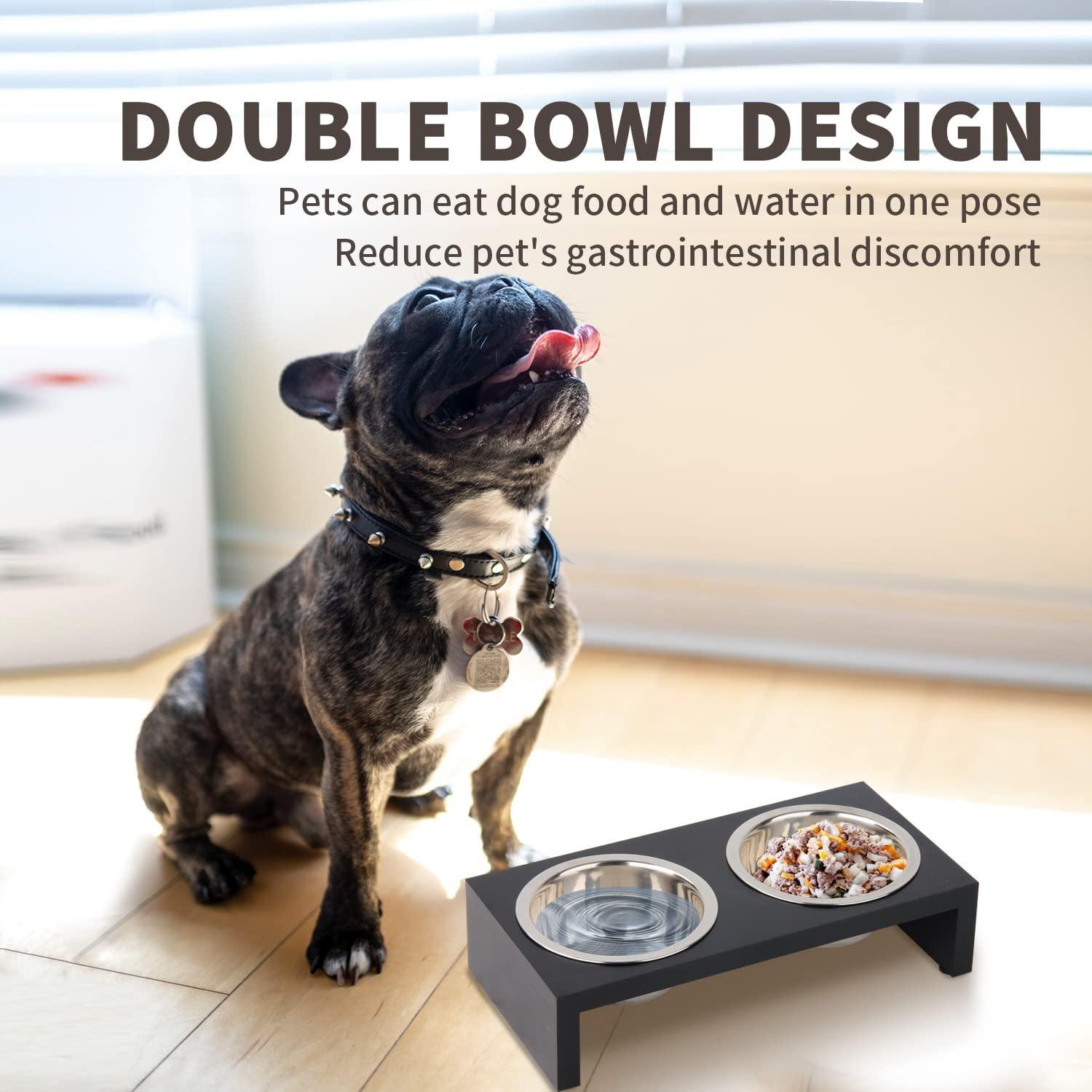 PAWISE Elevated Dog Bowls, Raised Cat Feeder Elevated Food and Water Bowls  Stand with 2 Stainless Steel Bowls and Anti Slip Feet, Wooden Frame Pet  Feeder L-750ml