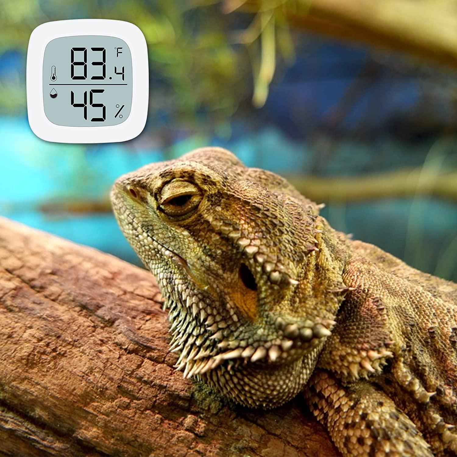 Reptile Thermometer Hygrometer  Lizard Thermometer Hygrometer