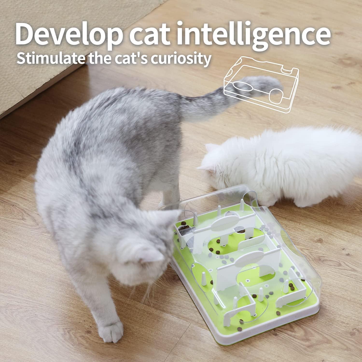 Interactive Cat Treat Maze – All for Paws Pet