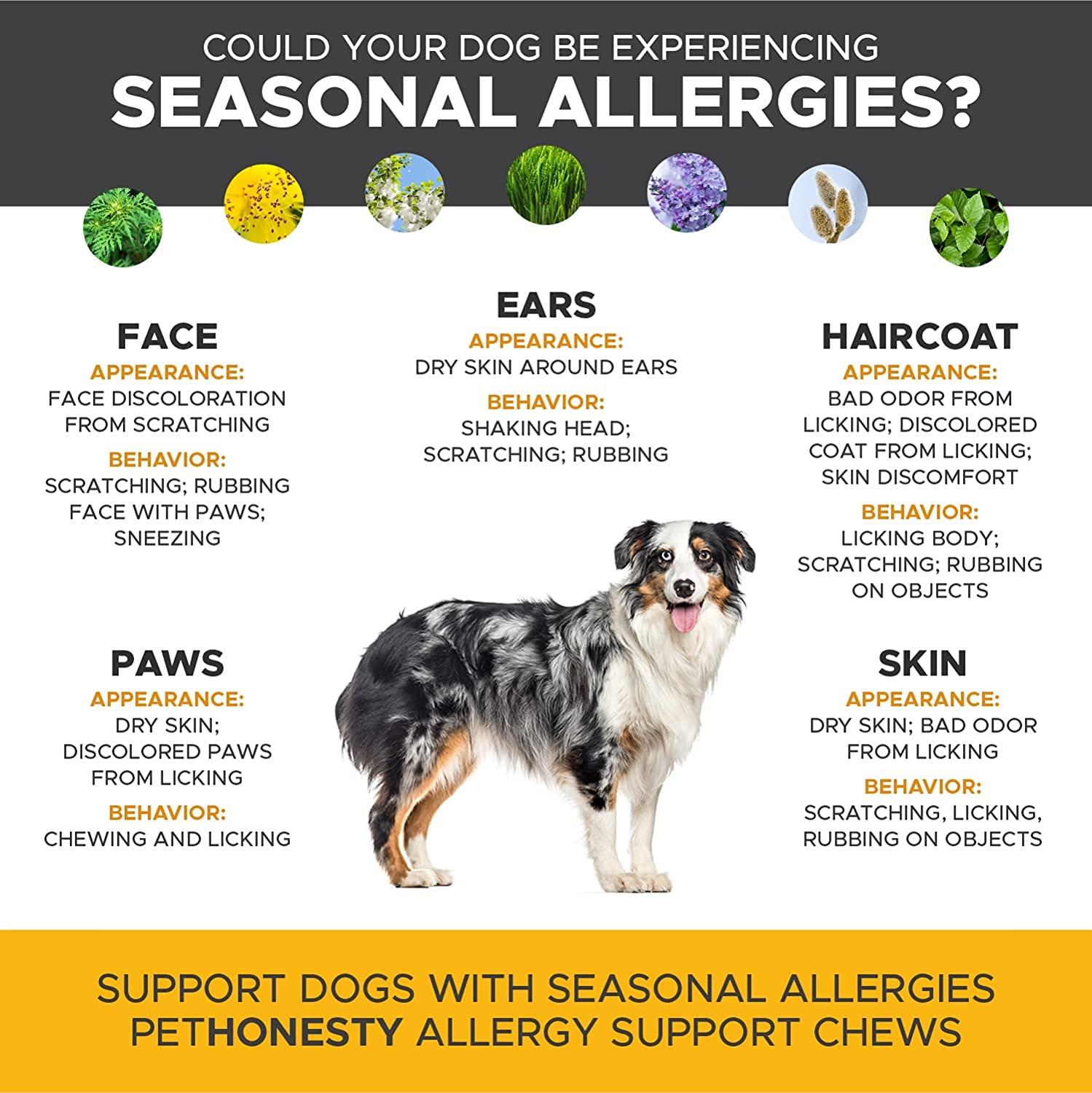 what helps dogs with pollen allergies