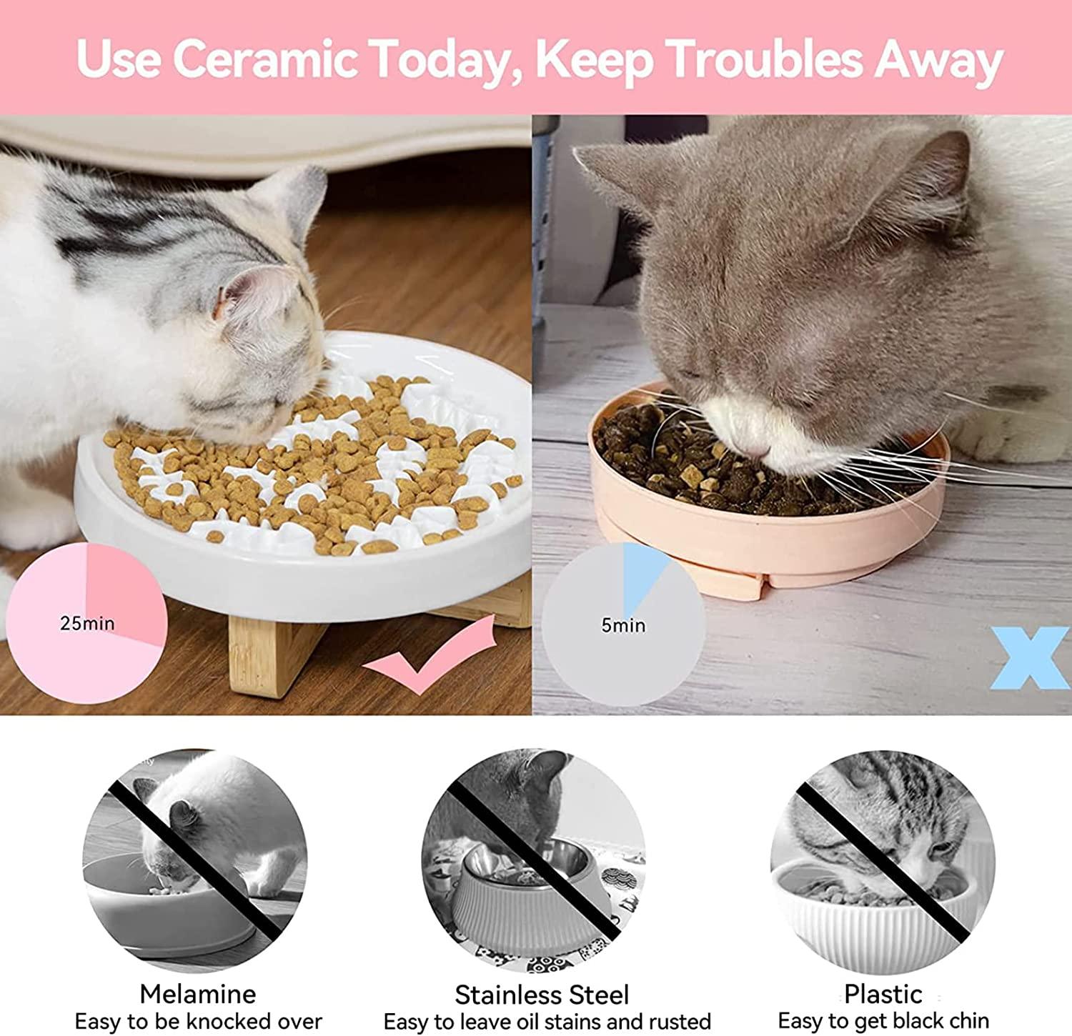 Elevated Cat Bowl, Ceramic Slow Feeder Cat Puzzle Food Bowl Water