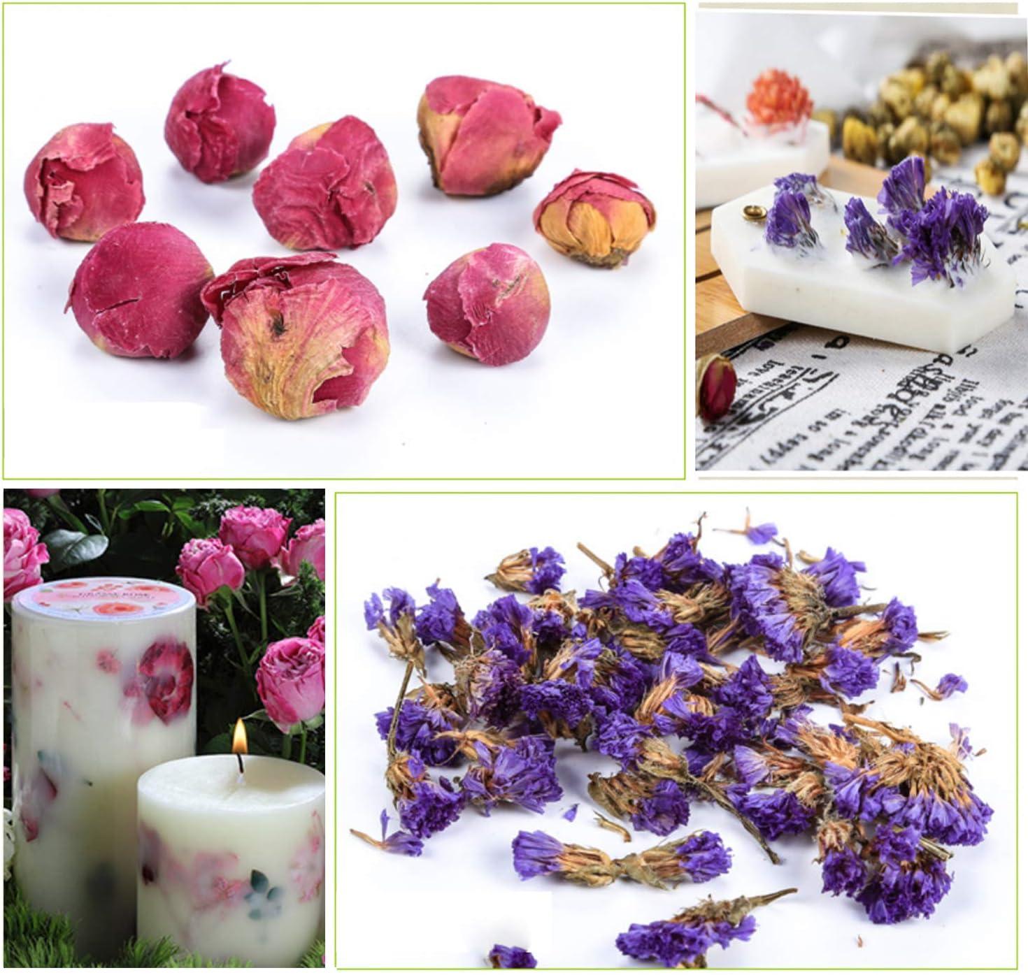 TEARELAE - Dried Jasmine Flowers Bud - Edible Flowers for Drinks - 100% Natural Dried Herbs Loose Leaf Herbal Tea - for Soap Making, Bath Bombing