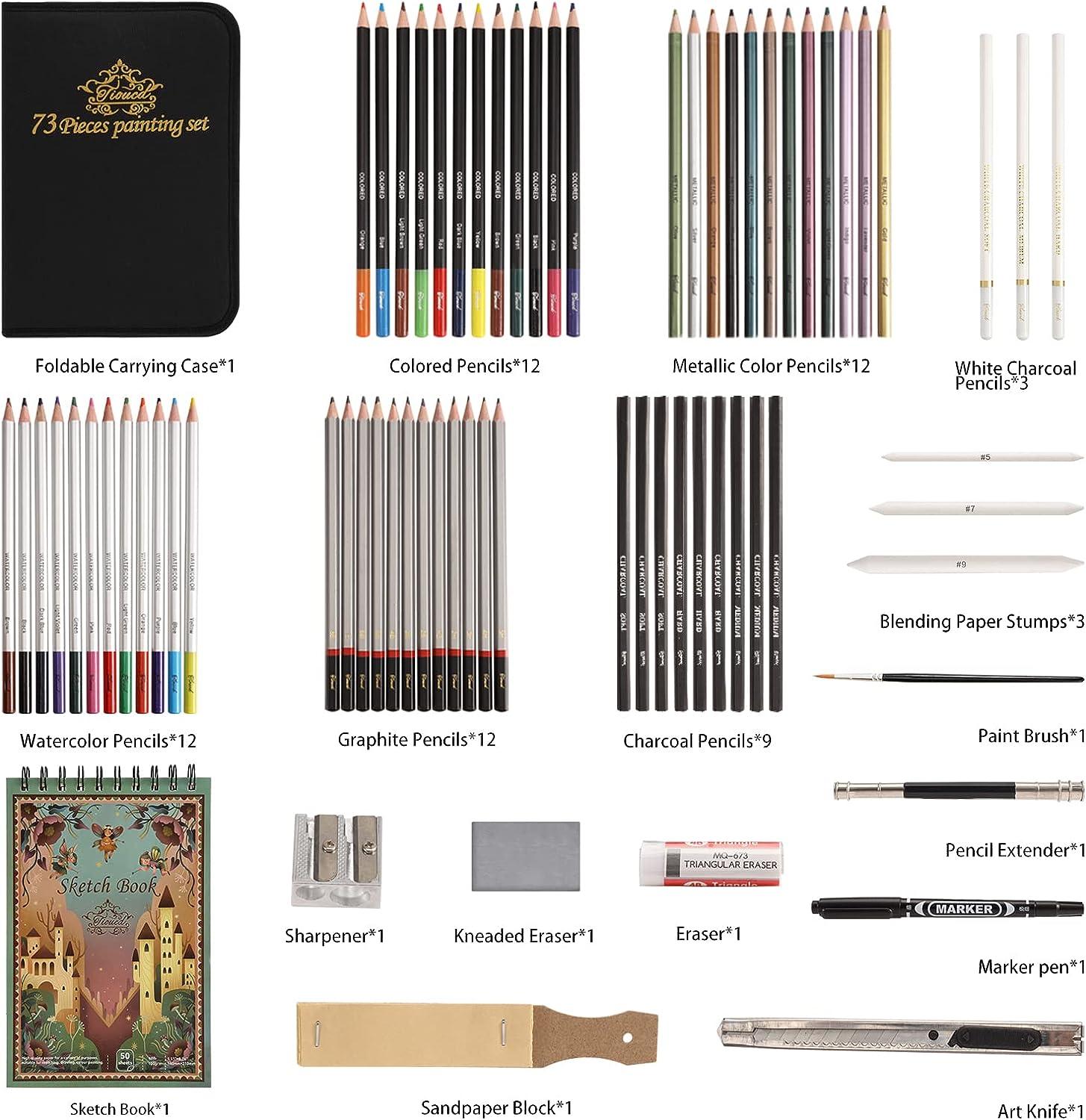 71 Professional Drawing Artist Kit Set Pencils and Sketch Charcoal Art Tools  USA
