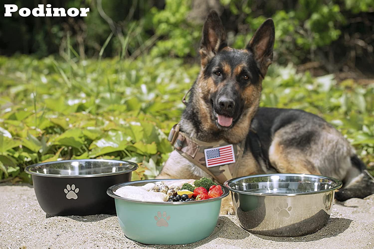 3 Gallons Extra Large Dog Water Bowl, Durable Stainless Steel Dog Bowl,  Safe High Capacity Water and Food Bowl for Large, X-Large Breed Dogs Indoor