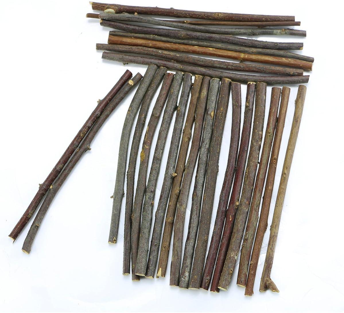 TKOnline 100Pcs 10cm 0.1-0.2 Inch in Diameter Wood Log Sticks for DIY  Crafts Photo Props Craft Sticks,Wood Crafts,Sticks inch : : Home