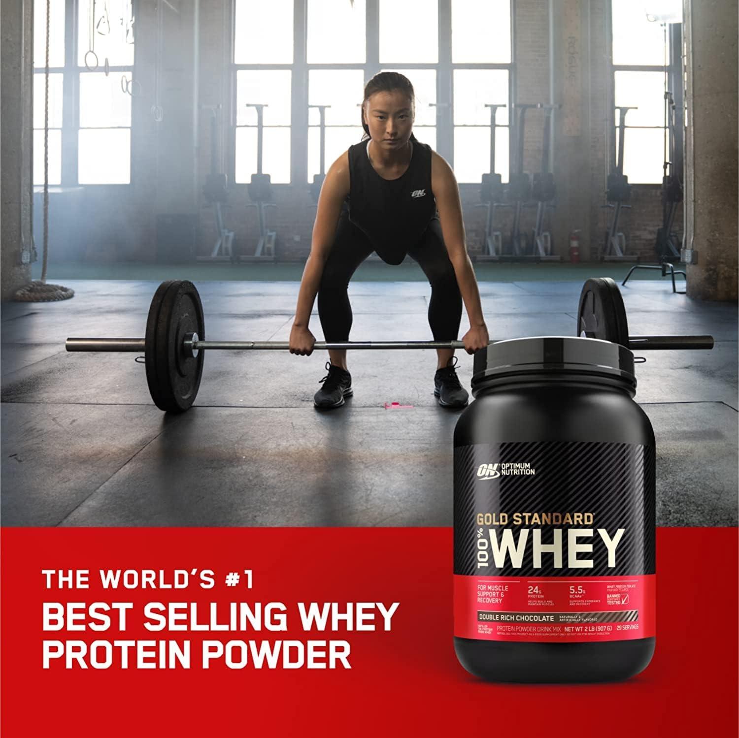 Optimum Nutrition Gold Standard 100% Whey Protein Powder, Double Rich  Chocolate + Free Shipping 