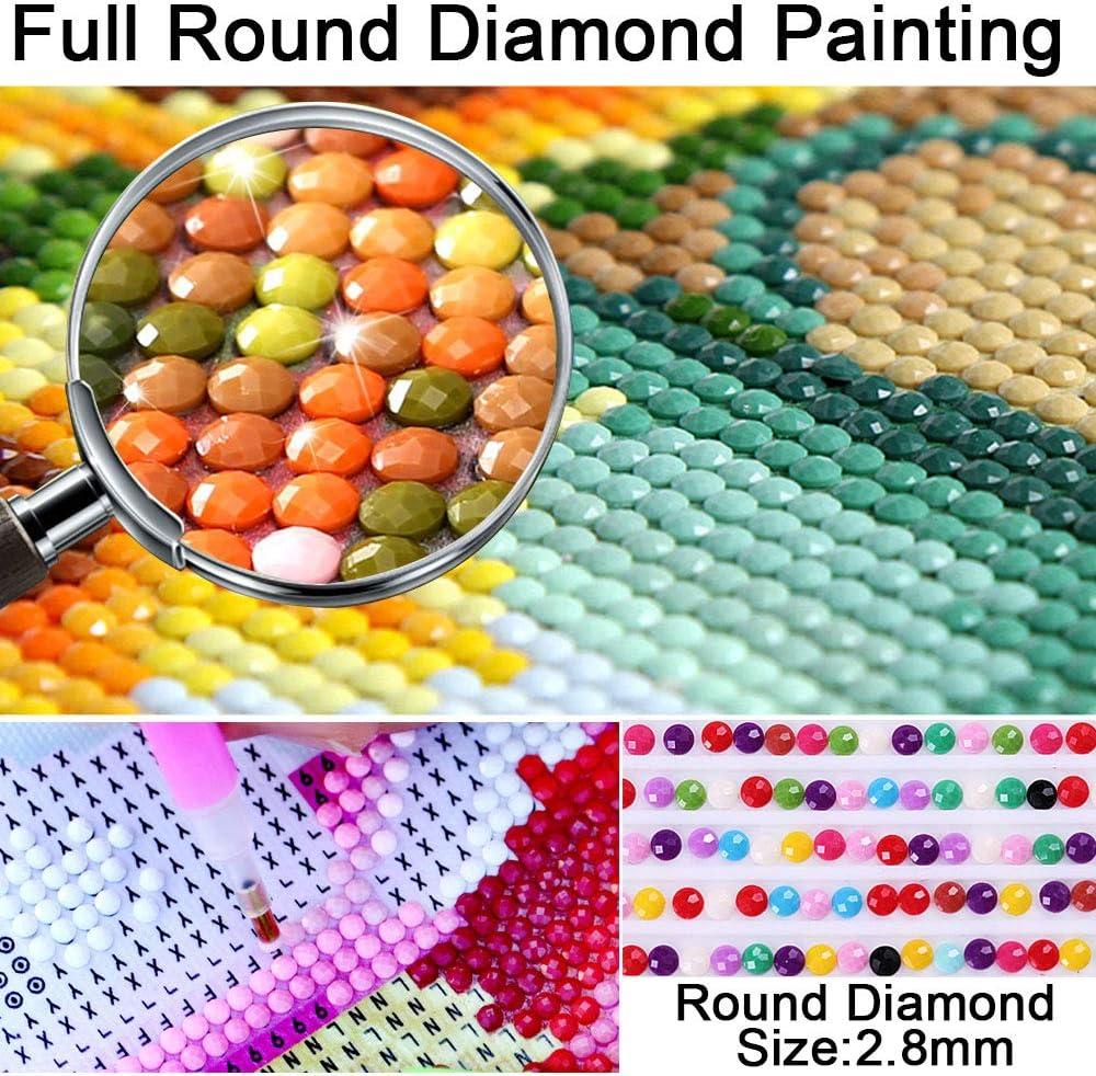 Diamond Painting, DIY Full Round Drill Diamond Painting Kits Diamond Art  Starry Night Dog Diamond Painting Kits for Adults Diamond Dog Crafts for