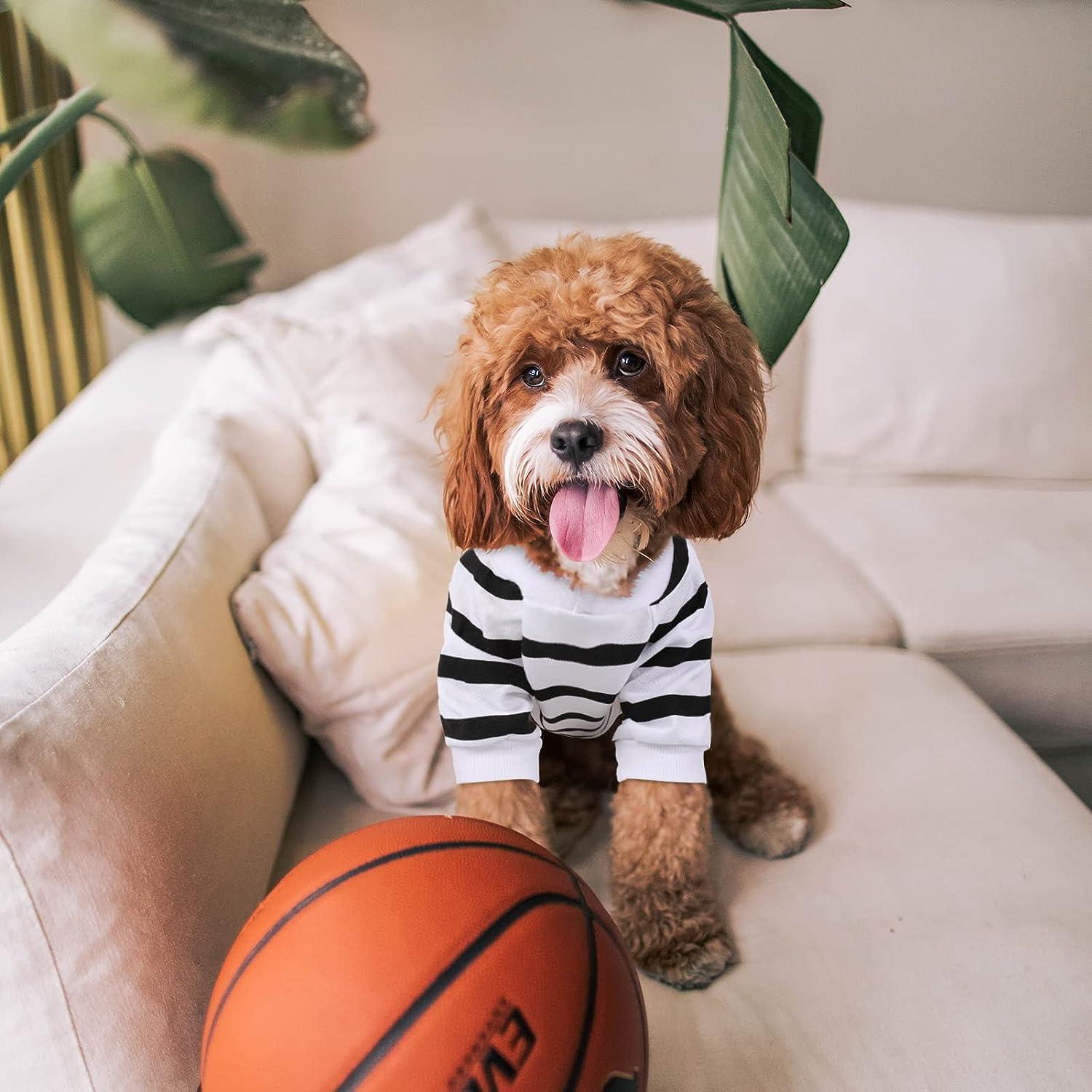 Breathable Pet Dog Basketball Vest Summer Pet Clothes Quick Drying Clothes  for Small Medium Dog Sportswear Dog Summer Clothes