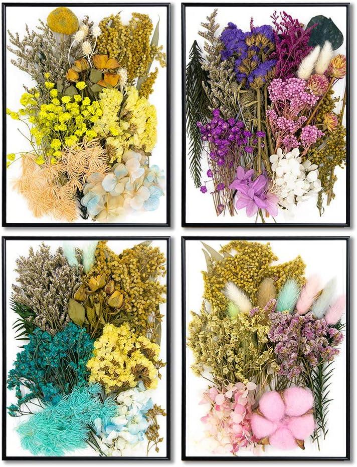 Mixed Real Dried Flowers Dry Plant for DIY Epoxy Resin Jewelry