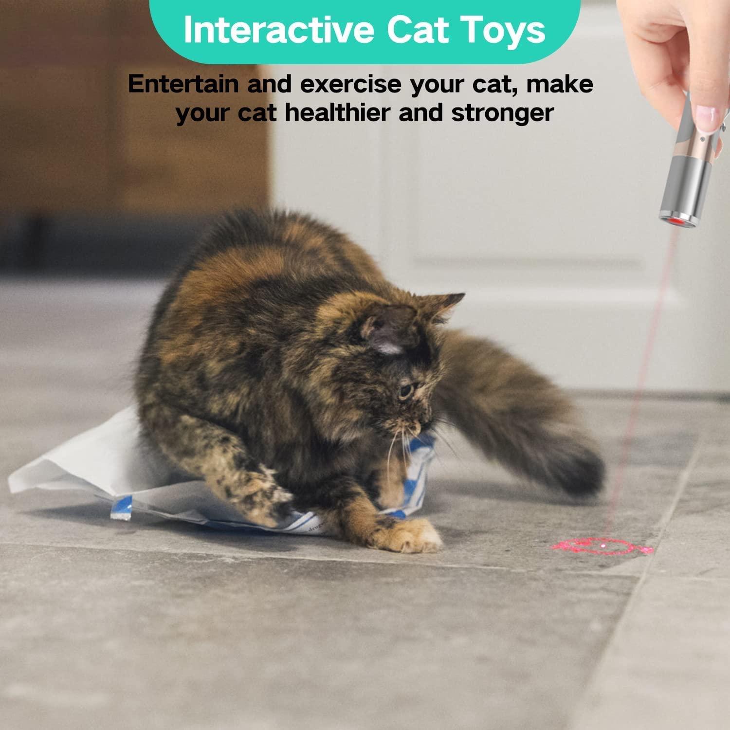 Interactive Cat Toys: How to Keep Your Cat Entertained