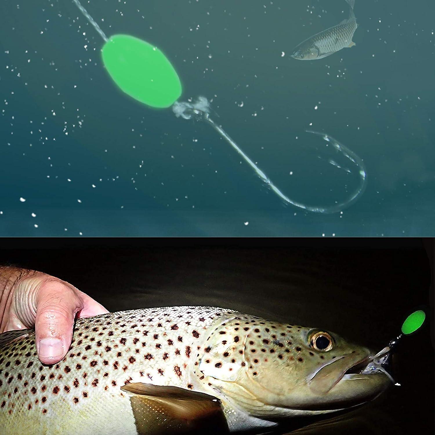 OROOTL Glow Beads Fishing Saltwater, 100pcs Hard Plastic Luminous Fishing  Beads Green White Fish Beads Assortment Oval Egg Bead Lures Sea Fishing Tool
