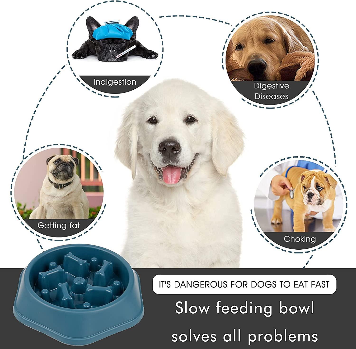 Happy Date Slow Feeder Dog Bowl, Puzzle Dog Food Bowl Anti-Gulping  Interactive Dog Bowl and Water Dog Bowl for Small/Medium Sized Dogs 