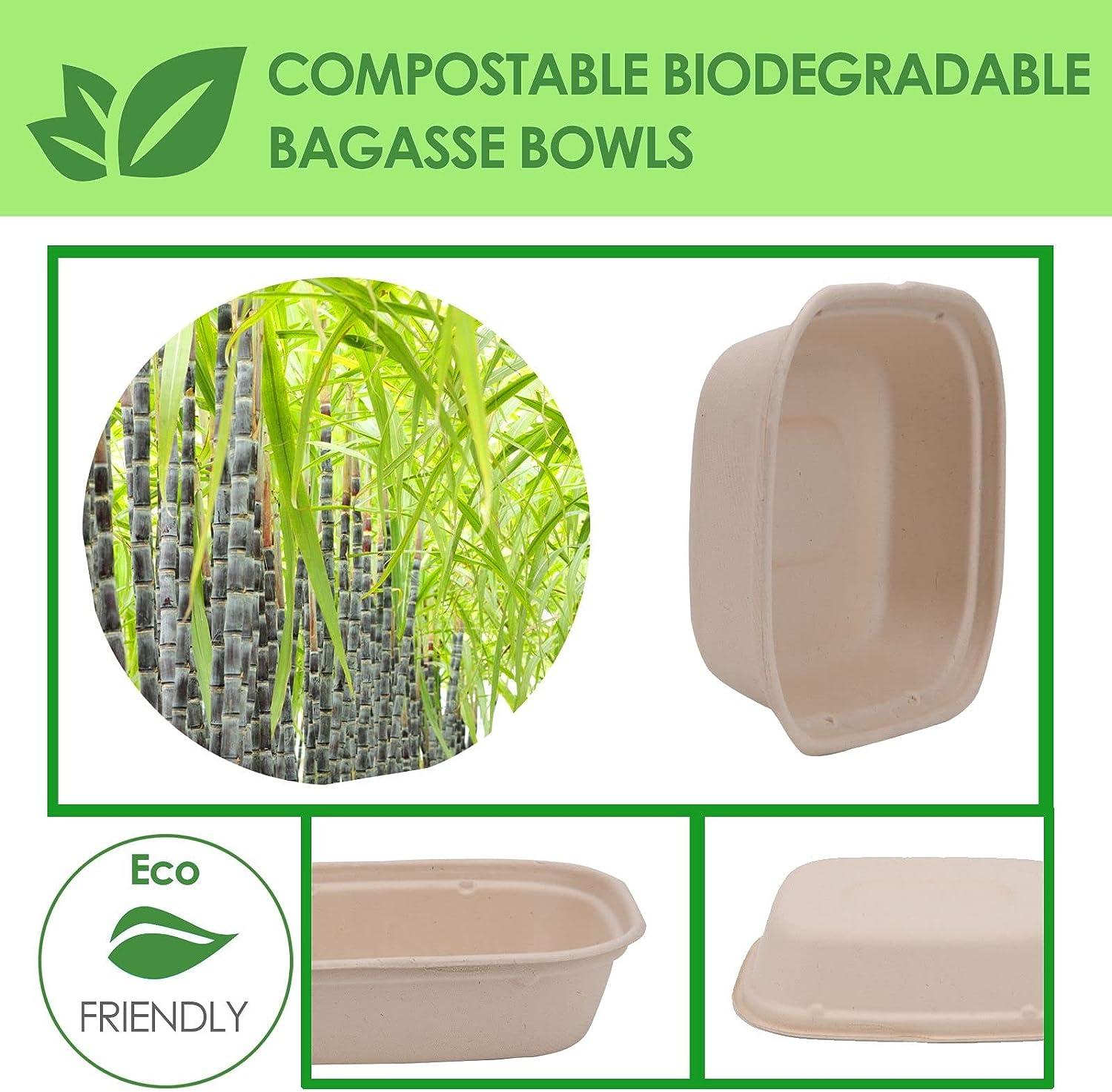 Biodegradable Containers Food  Biodegradable Disposable Bowl - 50
