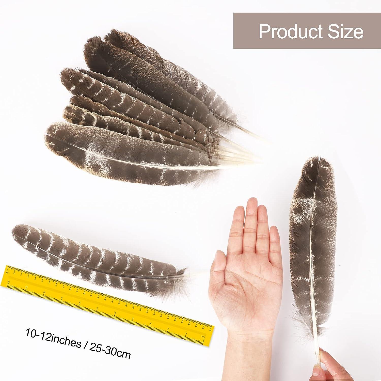 50 pcs 10-16 Inches Natural Knife Shape Turkey Feathers For Crafts DIY