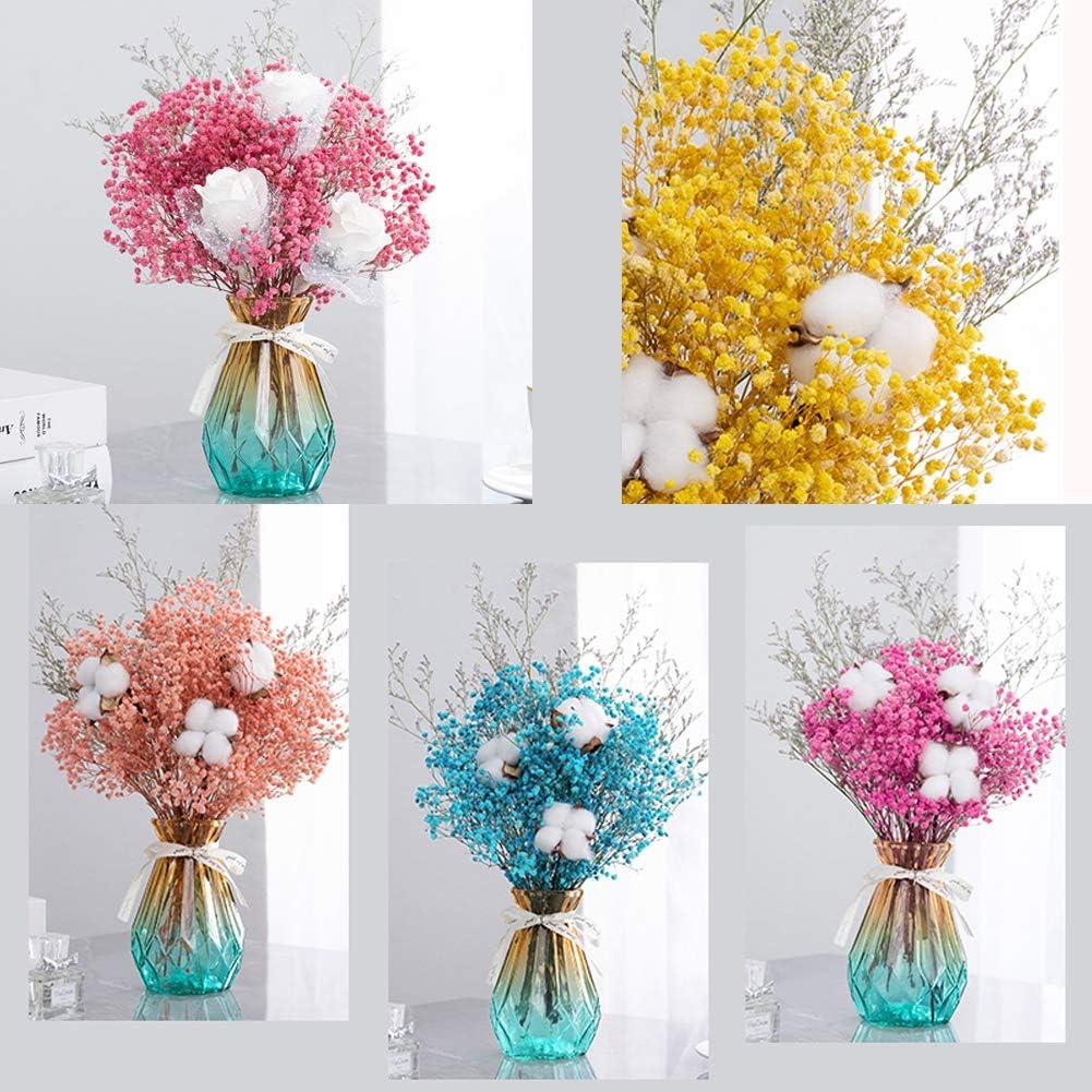 Vignee Real Dried Pressed Leaf Flowers-Multiple Colorful Pressed Flowers  Daisies for Craft Resin Jewelry Making Art Craft DIY（Violet）