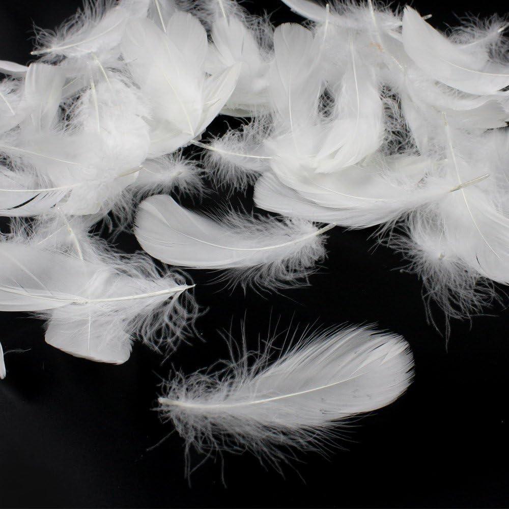 Coceca 500pcs 3-5 Inches White Feathers for DIY Craft Wedding Home Party  Decorations