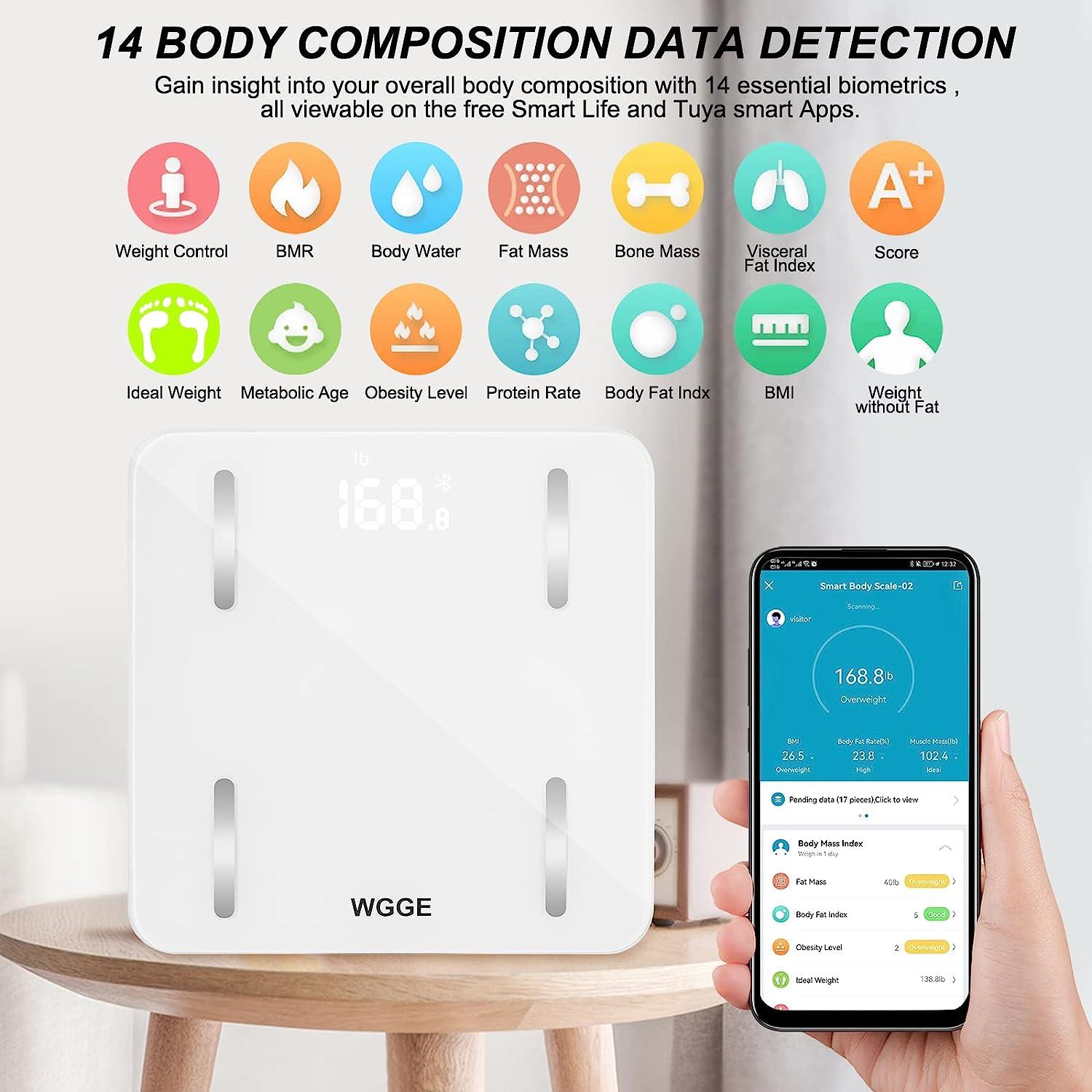 RENPHO Scale for Body Weight, Smart Body Fat Scale Digital Bathroom  Wireless Weight Scale, Body Composition Analyzer with Smartphone App sync  with