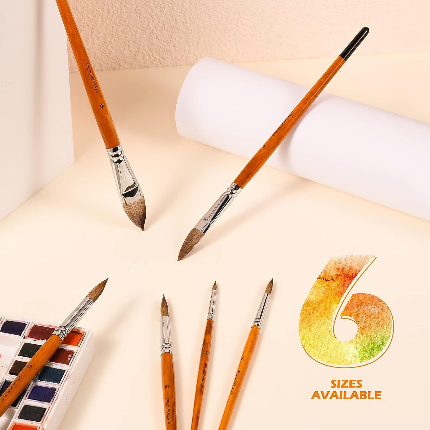 Artist Paint Brushes-Superior Sable Hair Artists Round Point Tip Paint  Brush Set Watercolor Acrylic Painting Supplies
