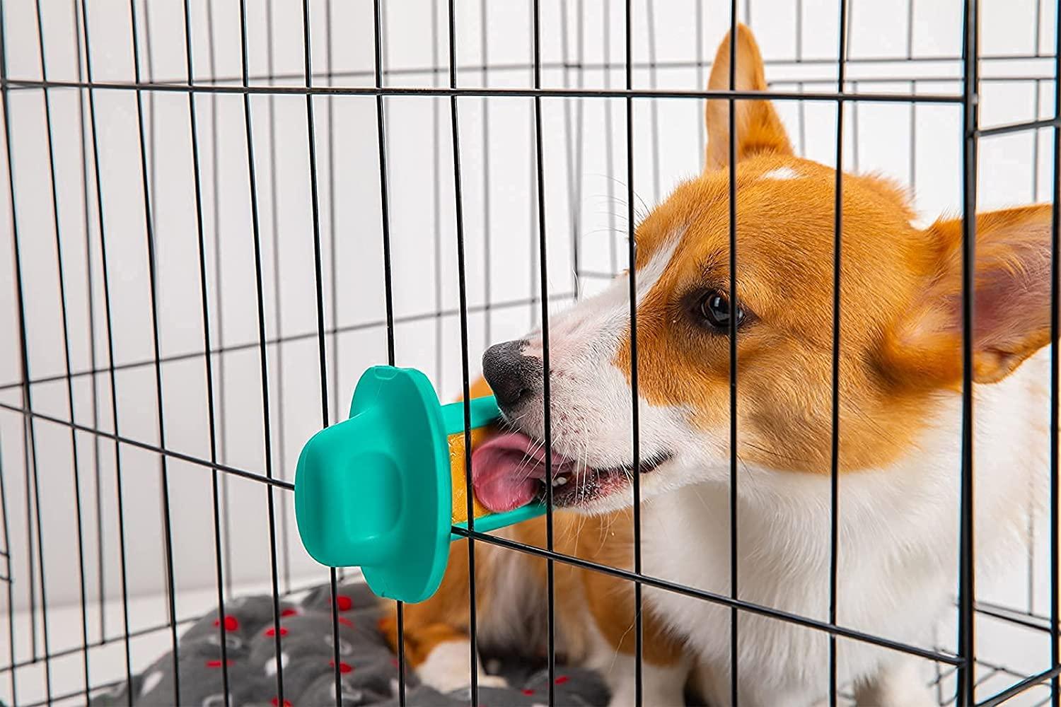 Best Puppy Toys to Keep Them Busy 