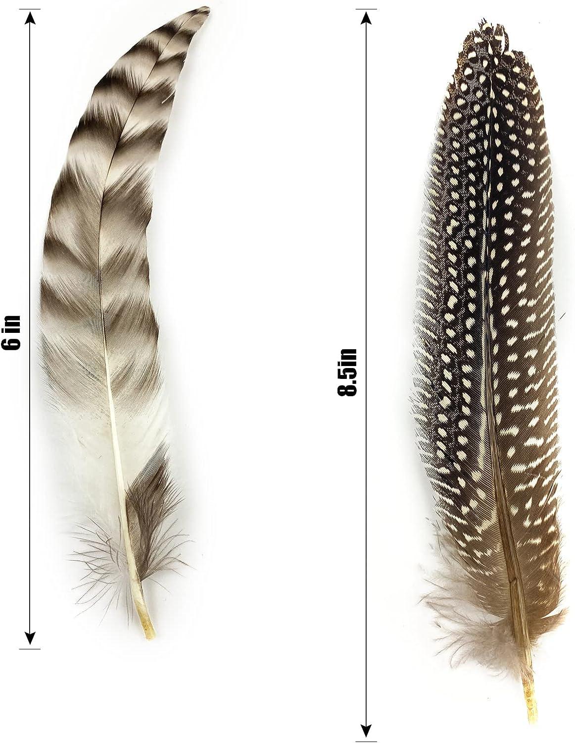  HAPPY FEATHER 6-9 inch Natural Guinea Wing Plumage Feather for  DIY Craft, Jewelry and Clothing Decoration Pack of 20-Multi Color : Arts,  Crafts & Sewing