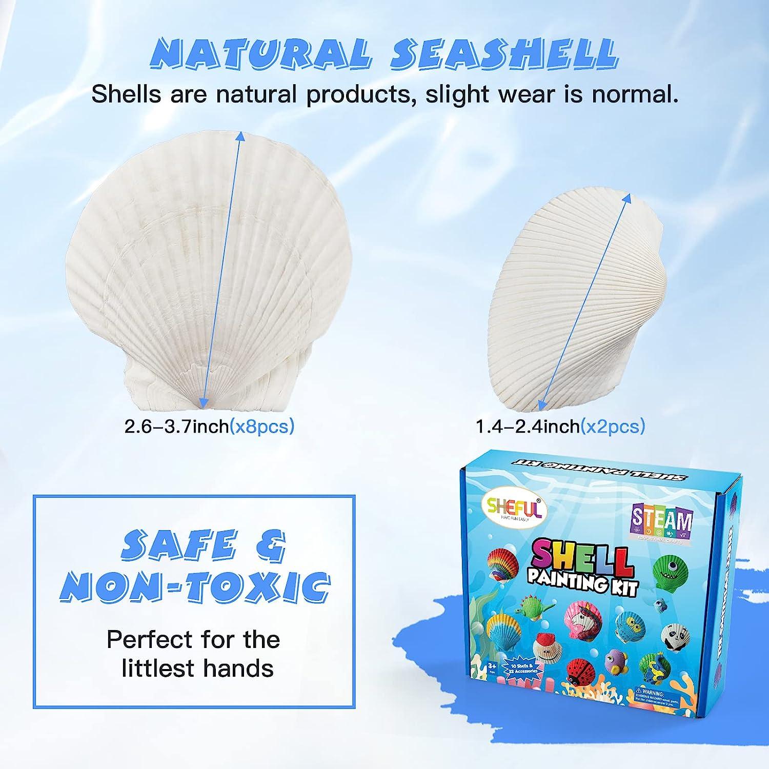  Nicmore Kids Sea Shell Art & Crafts: Glow in The Darkness  Painting Kits Crafts for Age 4-6 4-8 8-12 Gift for Boys Girls Art Supplies  Activities Creative Toy Gifts for 3