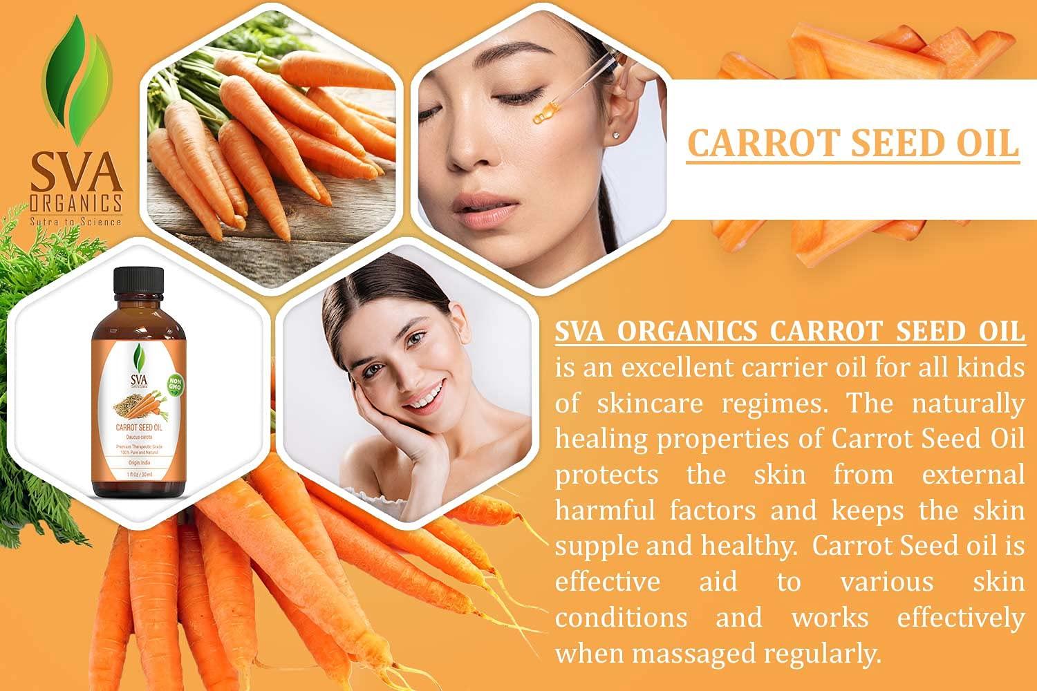 SVA Carrot Seed Oil 4oz (118 ml) Premium Carrier Oil with Dropper for Skin  Care, Hair Care, Hair Oiling, Scalp Massage & Body Massage