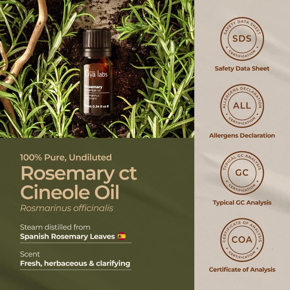 Gya Labs Rosemary Essential Oil - 100% Pure Therapeutic Grade for Skin, Scalp, Hair Loss, Relaxation, Diffuser - 10ml